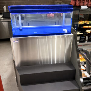 AQD60L-SC Lobster Tank
