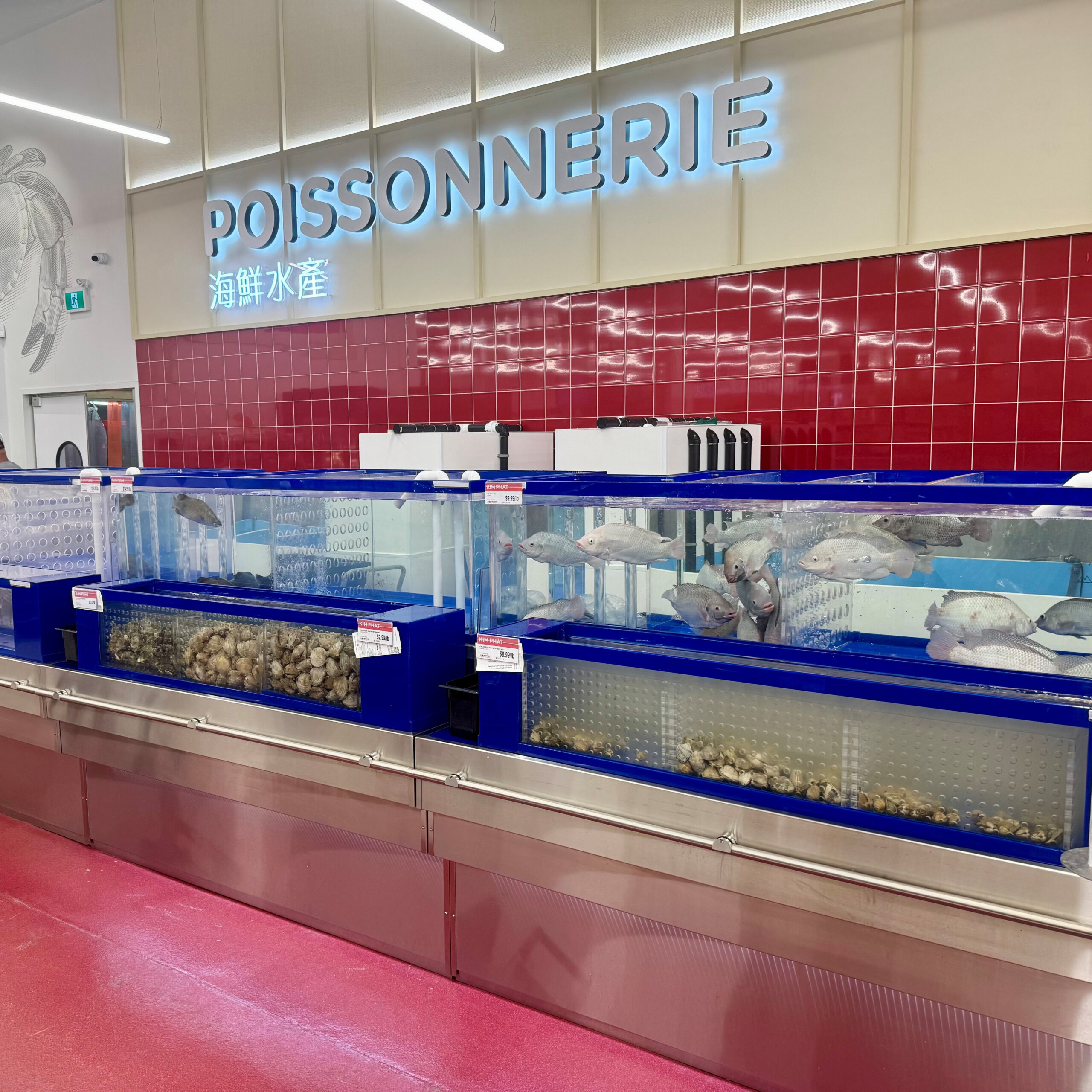 Vivier à homards et mollusques