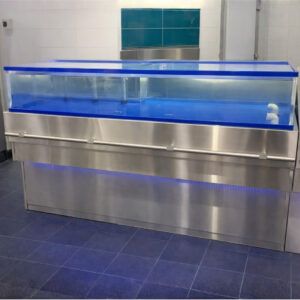 AQD3X6FF Lobster Tank