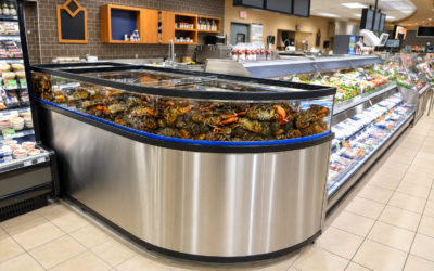 Comment bien dégorger ses homards avant de les mettre dans un vivier?