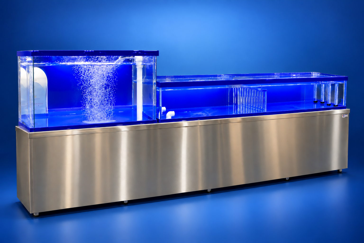 Lobster tank with a blue background Lobster tank with a blue background